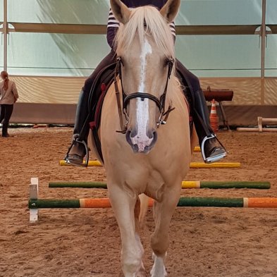 cheval_3