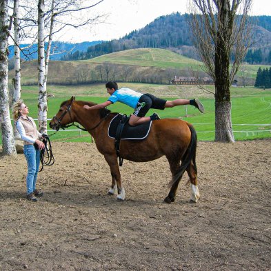 inauguration_box_chevaux_peupliers_026
